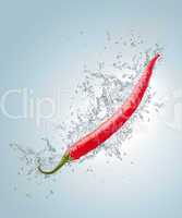 Hot Pepper