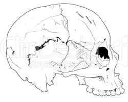 Human hand drawn skull fear death head dead pirate