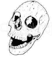 Human hand drawn skull fear death head dead pirate