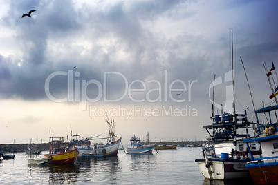Harbour in Sri Lanka