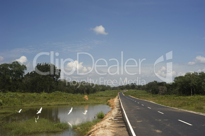 Country road in Sri Lanka