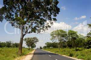 Country road in Sri Lankan