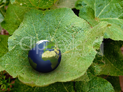 3d Blue earth on a green leaf