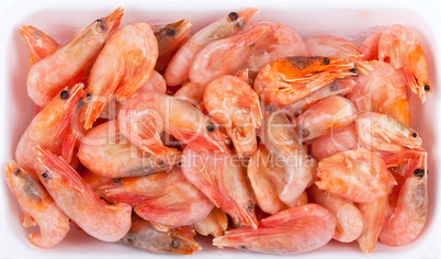 Frozen red shrimps in white plastic box