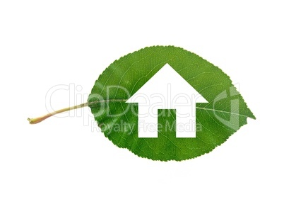 Green Leaf Green Leaf