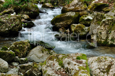 Forest waterfall