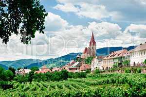 Village and Vineyard