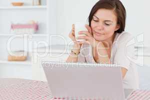 Cute dark-haired woman using her laptop and having a tea