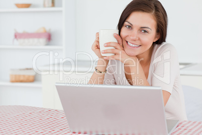 Beautiful dark-haired woman using her laptop and having a tea