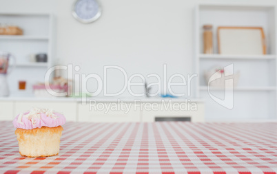 A cupcake on a tablecloth