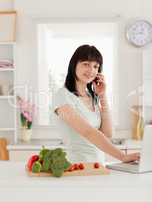 Cute brunette woman on the phone while relaxing with her laptop