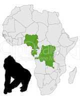 Afrika Gorilla Verbreitung