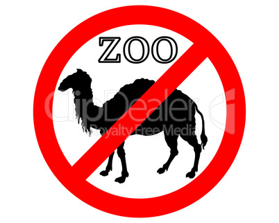 Kamel im Zoo verboten