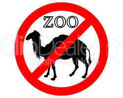 Kamel im Zoo verboten