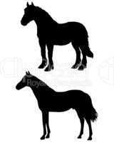 Pferde Silhouetten