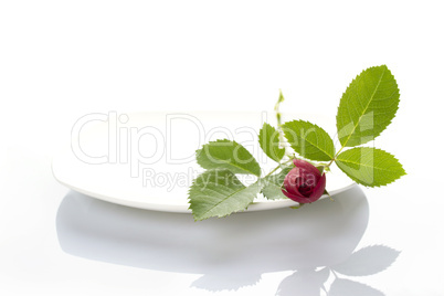 Place setting with rose