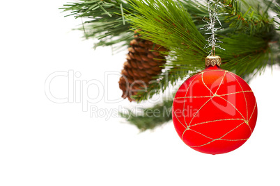 Christmas fur-tree on a white background with a ball