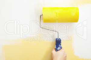 Paint roller