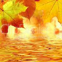 Autumn leaves over water