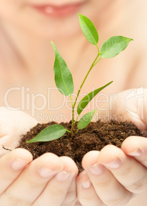 The boy observes cultivation of a young plant.