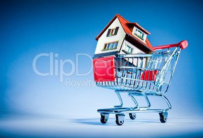 shopping cart and house