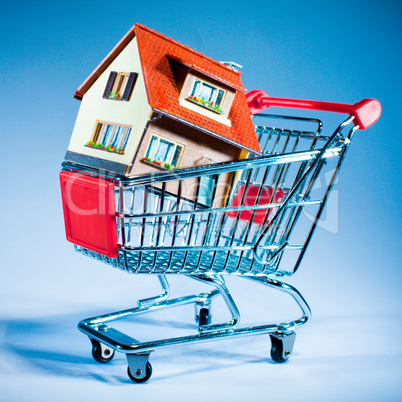 shopping cart and house