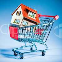 shopping cart and house