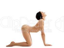 naked beauty woman in cat yoga pose isolated