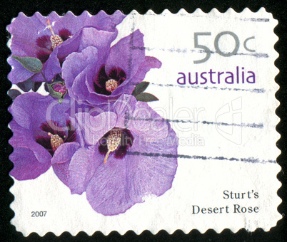 postage stamp