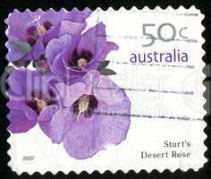 postage stamp