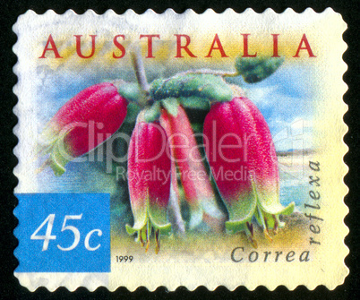 postage stamp