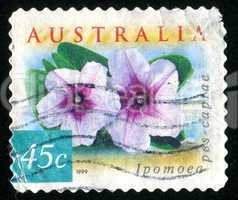 postage stamp