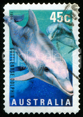 postage stamp