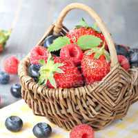 Früchtekorb / fruit basket