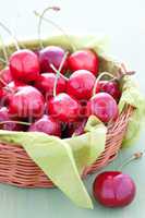 frische Kirschen im Korb / fresh cherries in a basket