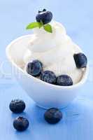 Eiscreme mit Heidelbeeren / icecream with blueberries