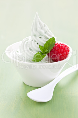 Eiscreme mit Minze / ice cream with mint