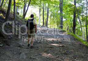 Senior man hiking in forest with backpack