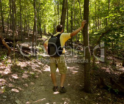 Senior man hiking in forest with backpack