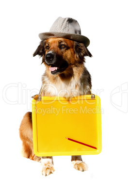 Hund mit Tafel und Stift