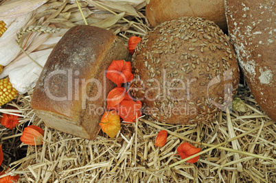 Brot und Blasenkirschen