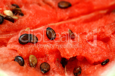 watermelon background