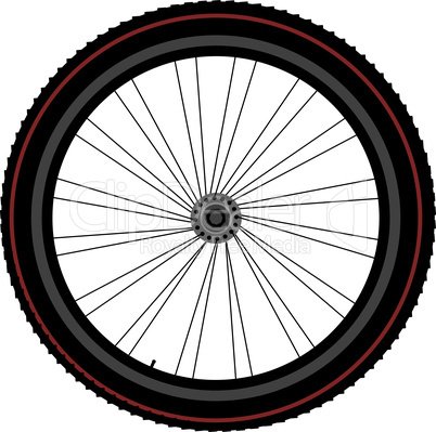 bike wheel detailed isolated on white background