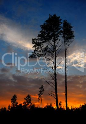 sunset with a cloud