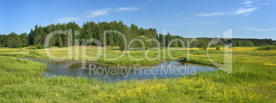 Landscape with a stream - a panorama.