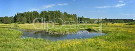 Landscape with a stream - a panorama.