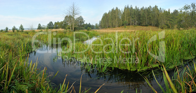 Panorama with a stream.