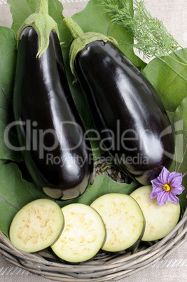 Eggplants.