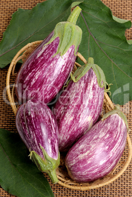 Eggplants.