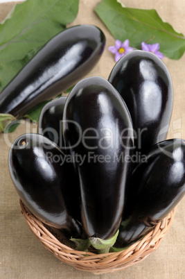 Eggplants.